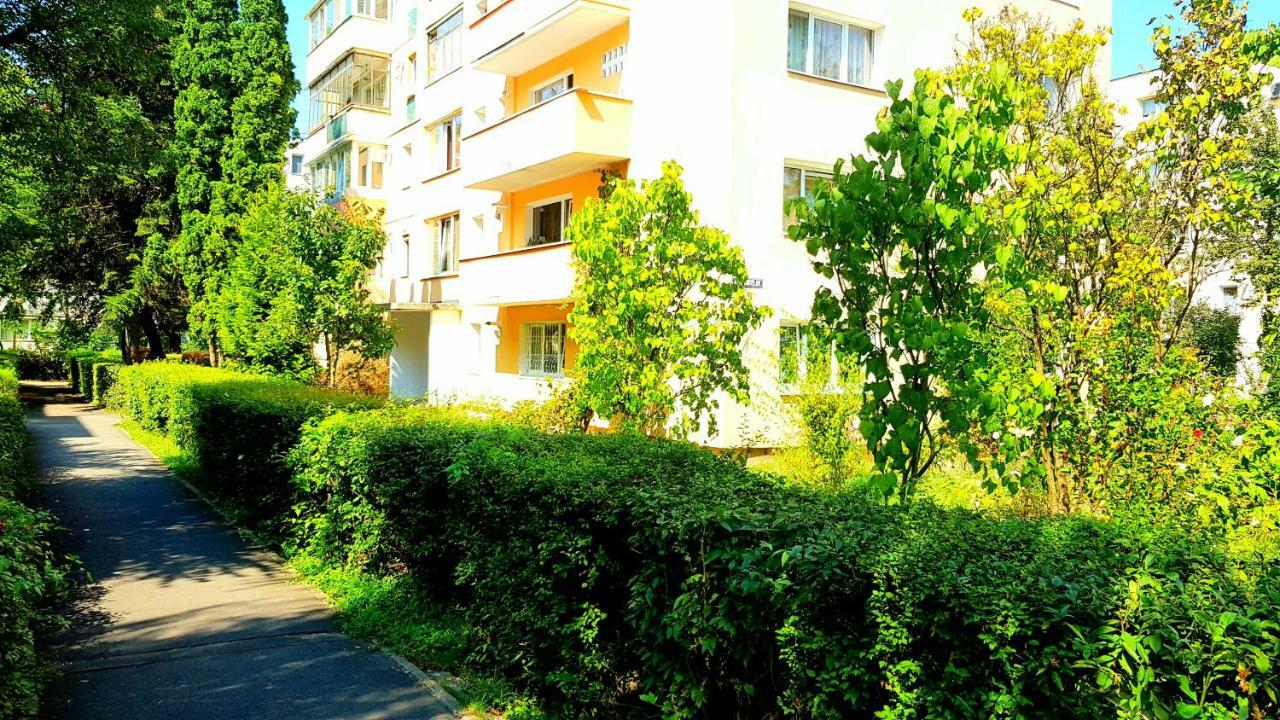 Luxury Paul Apartment Green, Private & Accessible Брашов Экстерьер фото
